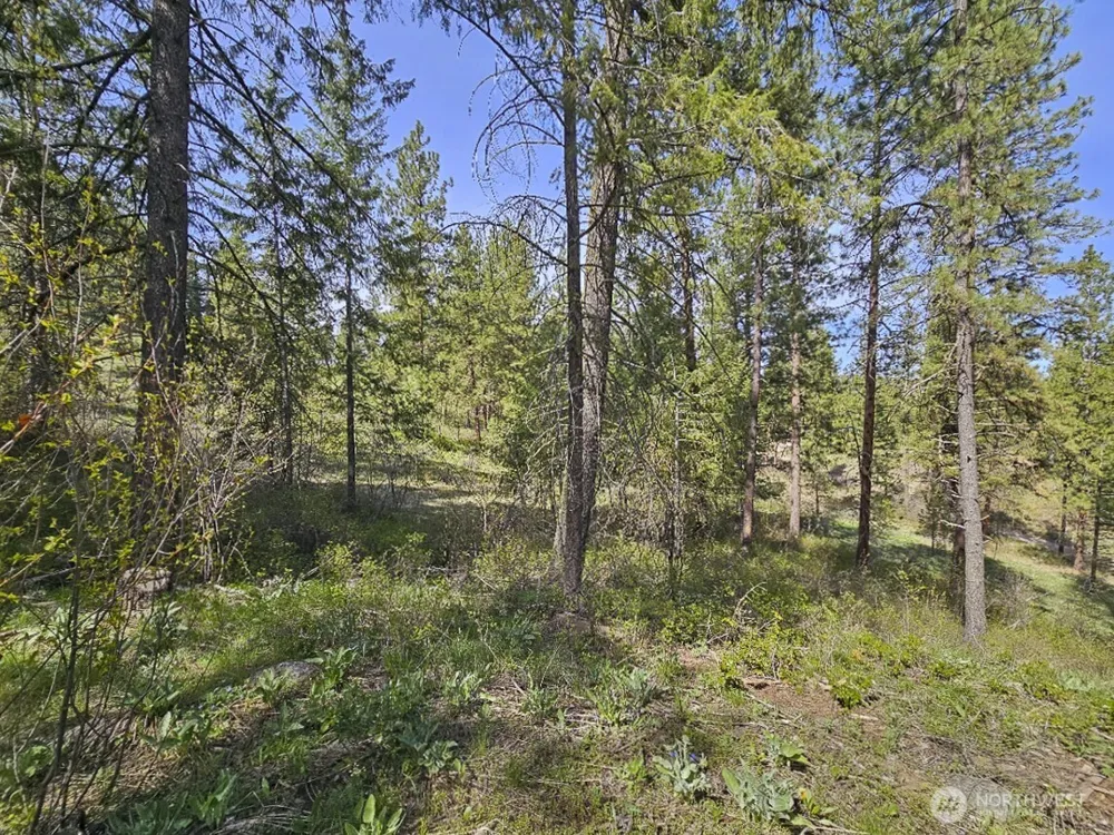 9 Whitebark Lane Winthrop, WA 98862