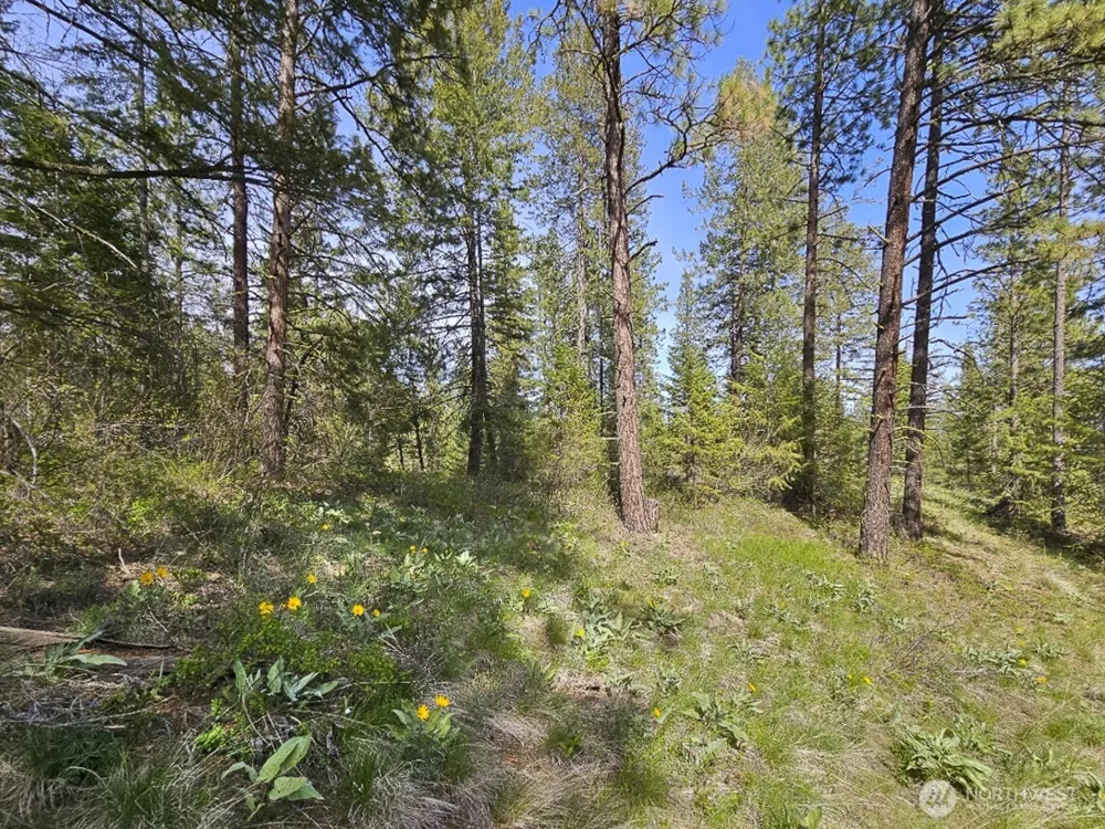 9 Whitebark Lane Winthrop, WA 98862