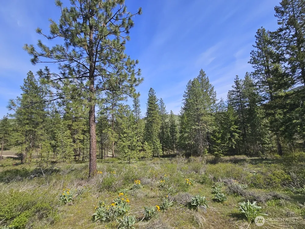 9 Whitebark Lane Winthrop, WA 98862