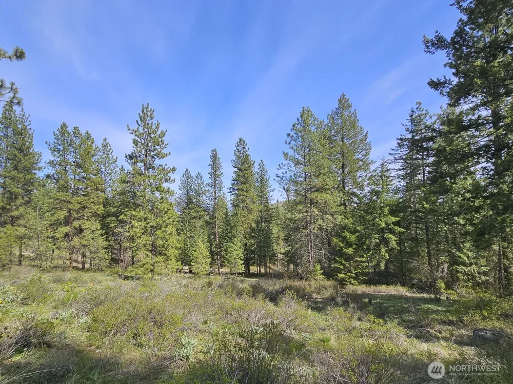 9 Whitebark Lane Winthrop, WA 98862