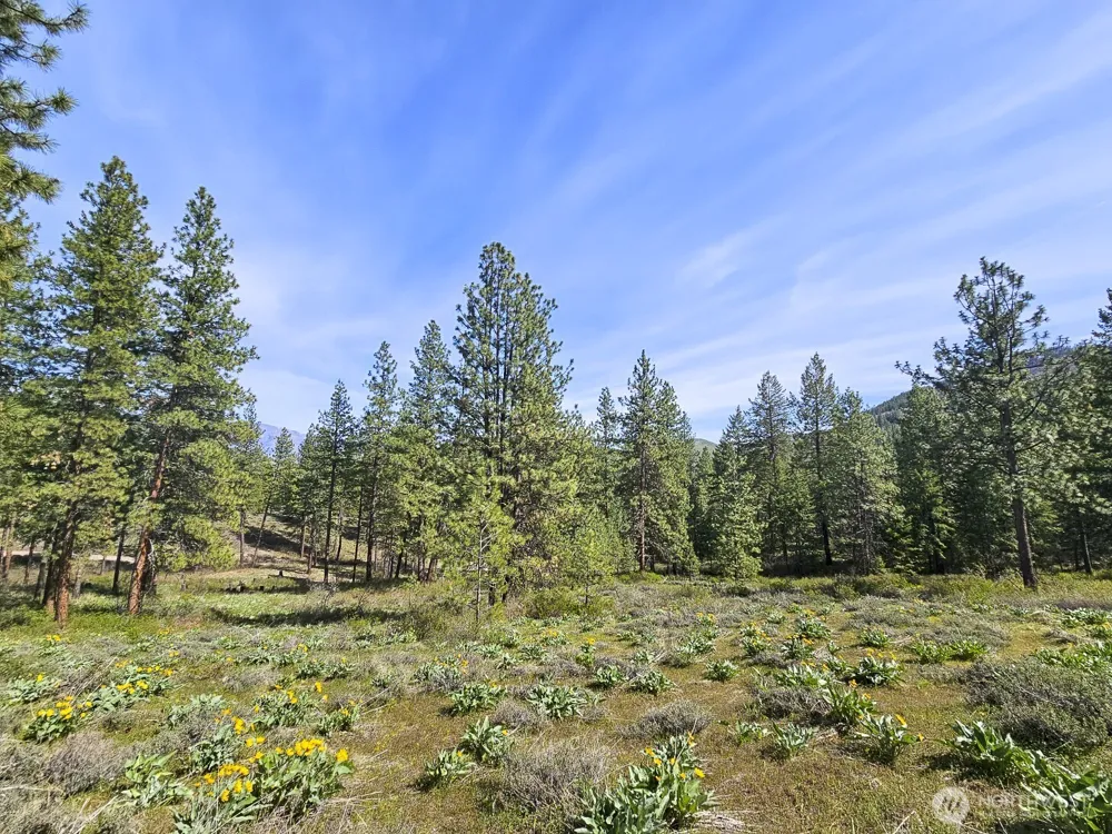 9 Whitebark Lane Winthrop, WA 98862