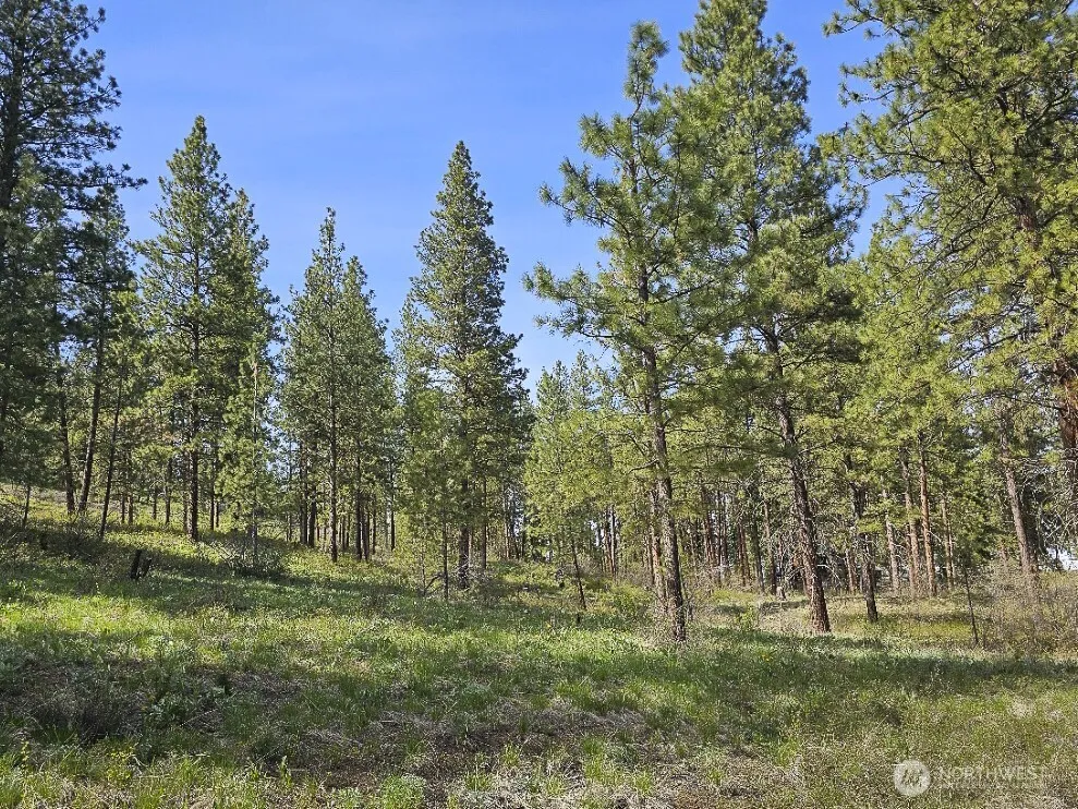 9 Whitebark Lane Winthrop, WA 98862