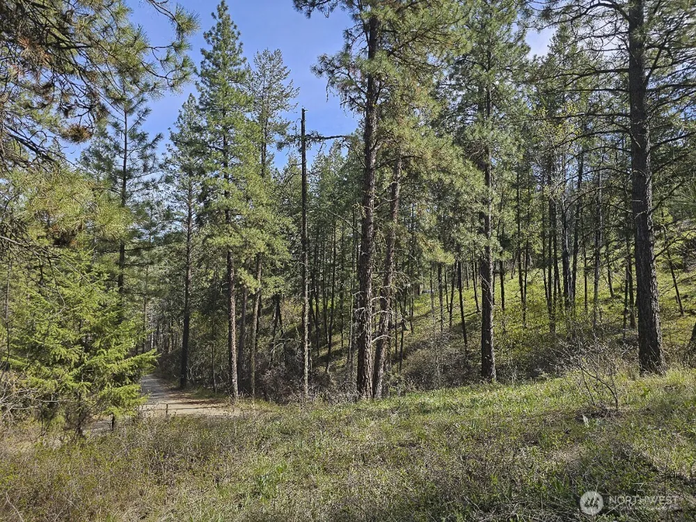 9 Whitebark Lane Winthrop, WA 98862