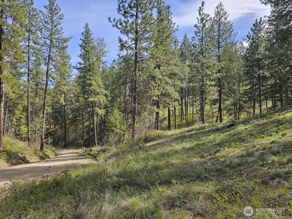 9 Whitebark Lane Winthrop, WA 98862