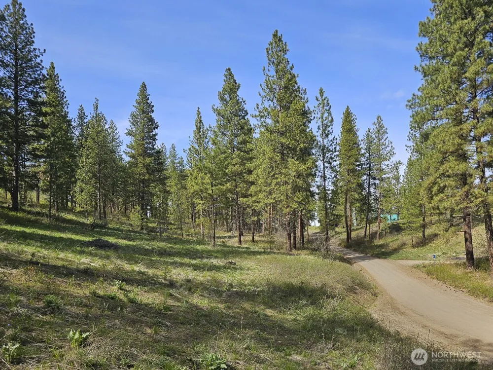 9 Whitebark Lane Winthrop, WA 98862