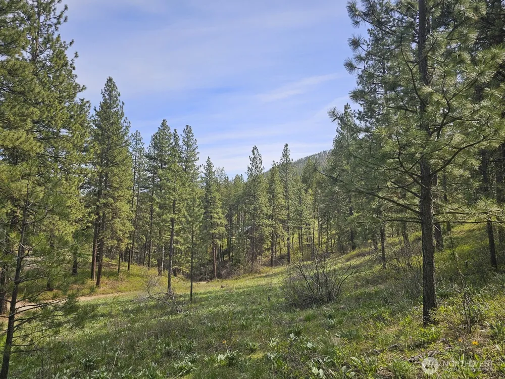 9 Whitebark Lane Winthrop, WA 98862