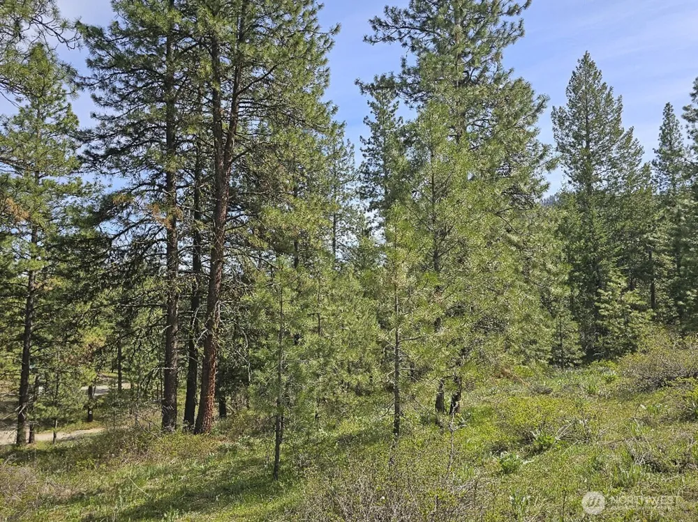 9 Whitebark Lane Winthrop, WA 98862