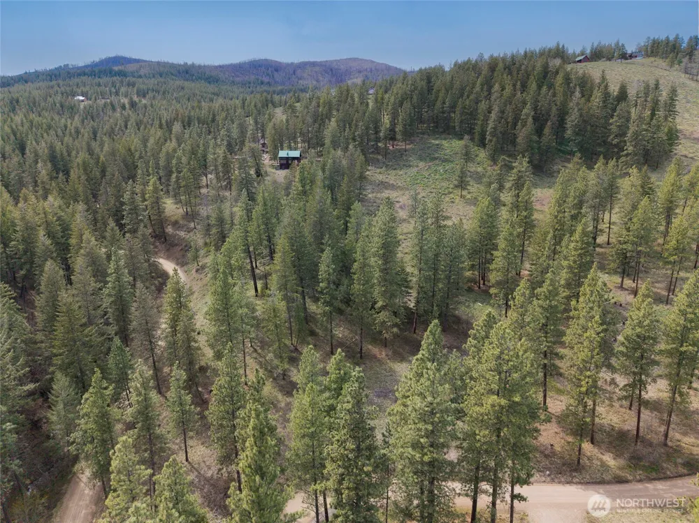 9 Whitebark Lane Winthrop, WA 98862