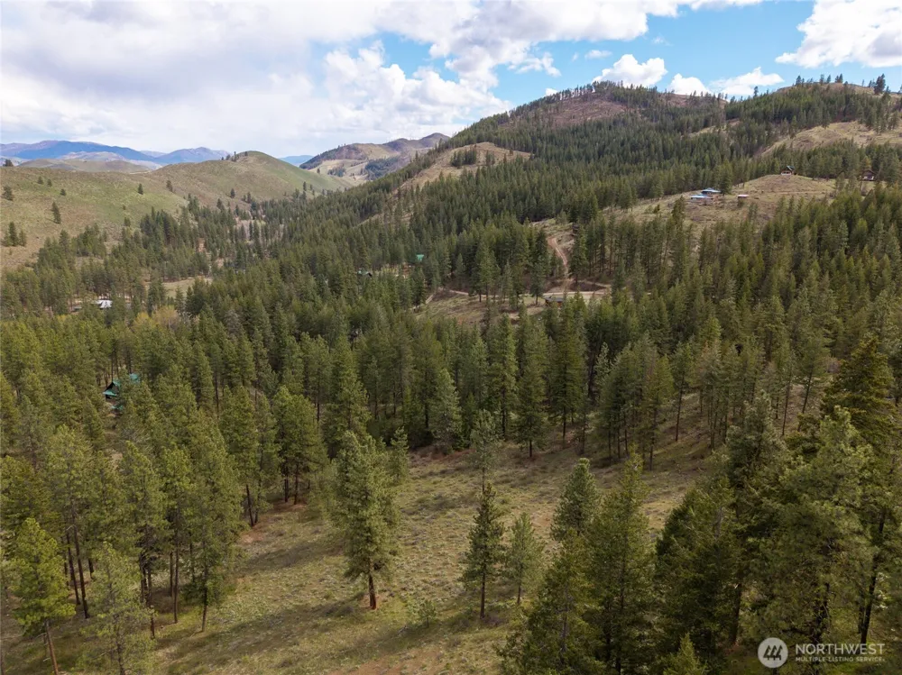 9 Whitebark Lane Winthrop, WA 98862
