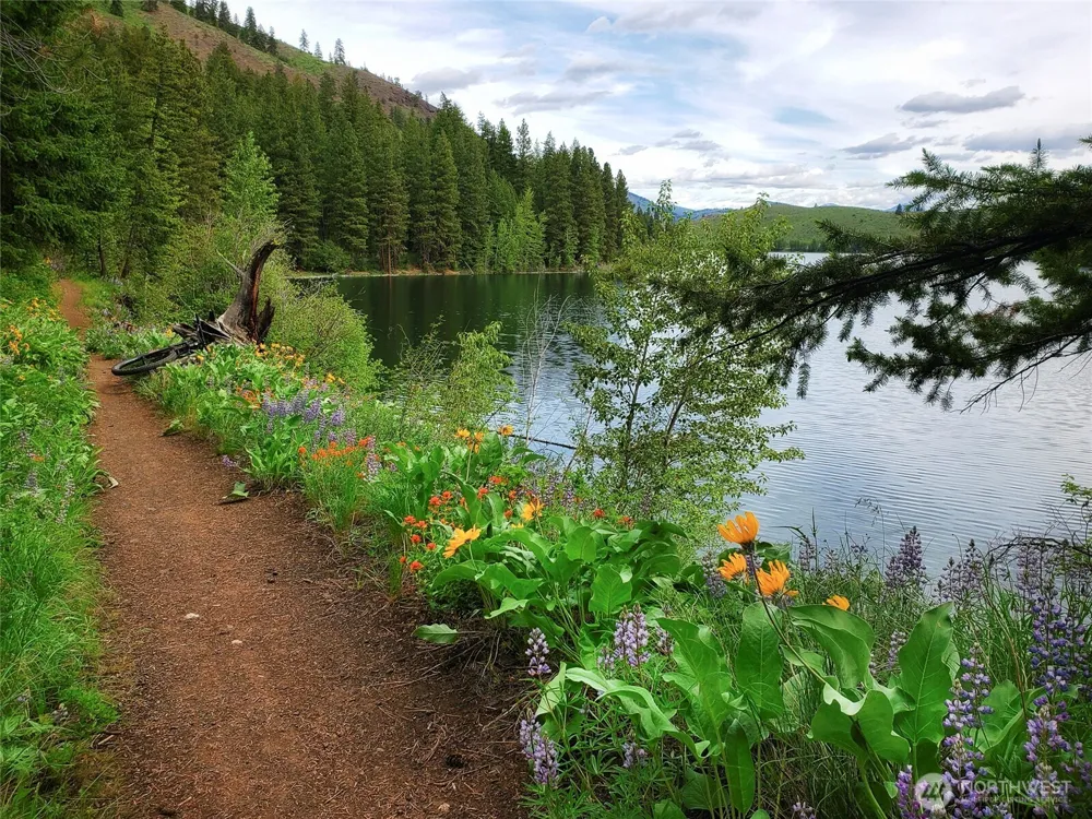 9 Whitebark Lane Winthrop, WA 98862