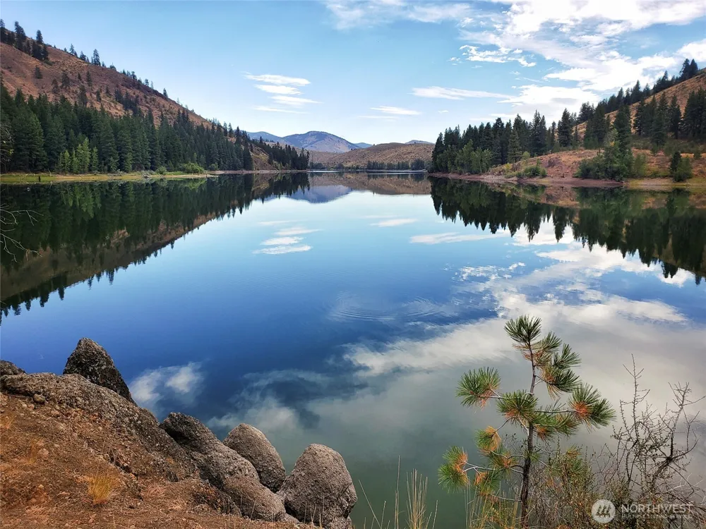 9 Whitebark Lane Winthrop, WA 98862