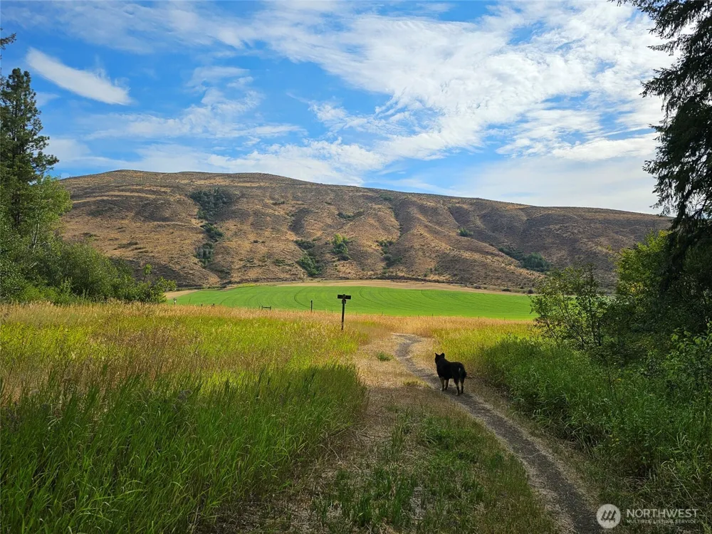 9 Whitebark Lane Winthrop, WA 98862
