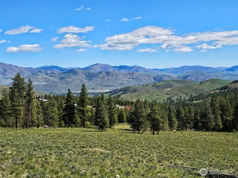 9 Whitebark Lane Winthrop, WA 98862