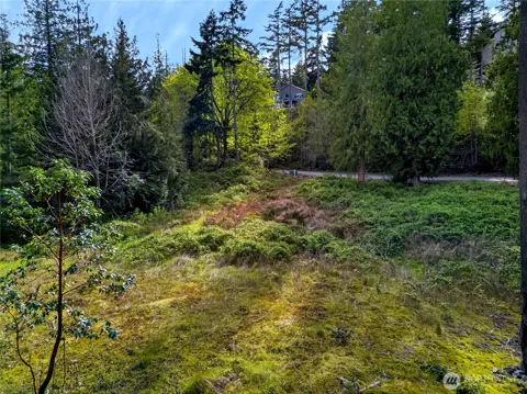 11927 Madrona Ridge Place