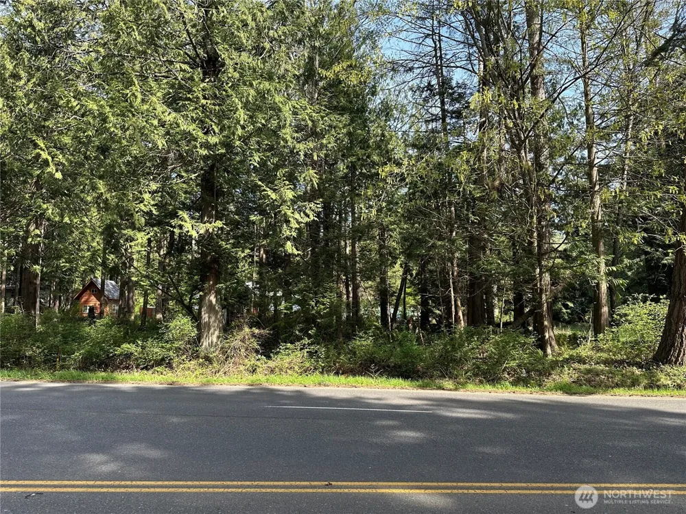 0 Lot 9 Tyee Drive Point Roberts, WA 98281