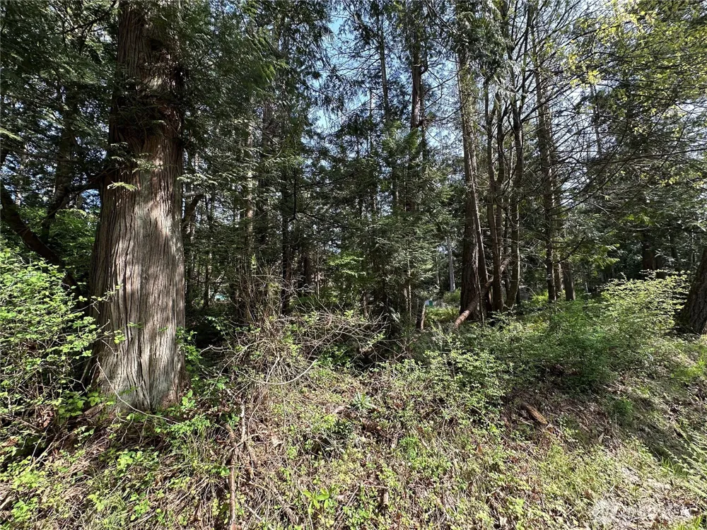 0 Lot 9 Tyee Drive Point Roberts, WA 98281