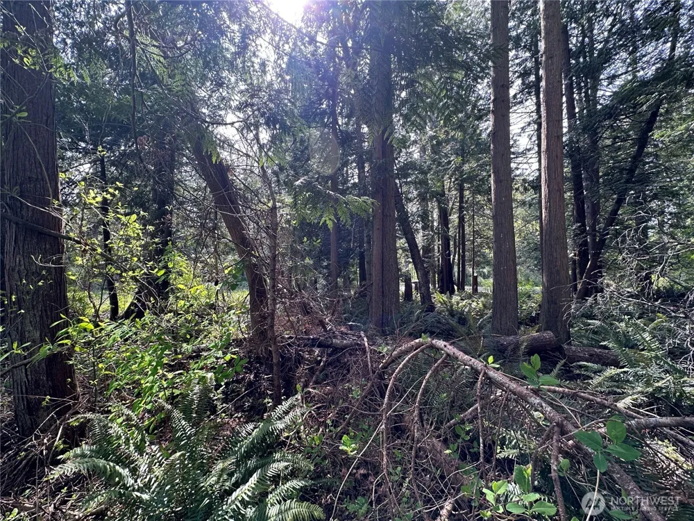 0 Lot 9 Tyee Drive Point Roberts, WA 98281