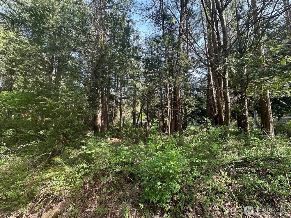 0 Lot 9 Tyee Drive Point Roberts, WA 98281