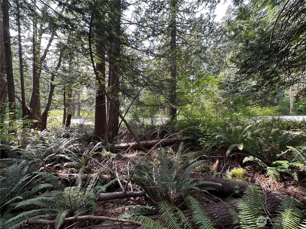0 Lot 9 Tyee Drive Point Roberts, WA 98281