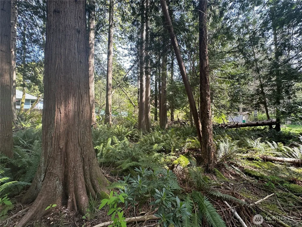 0 Lot 9 Tyee Drive Point Roberts, WA 98281