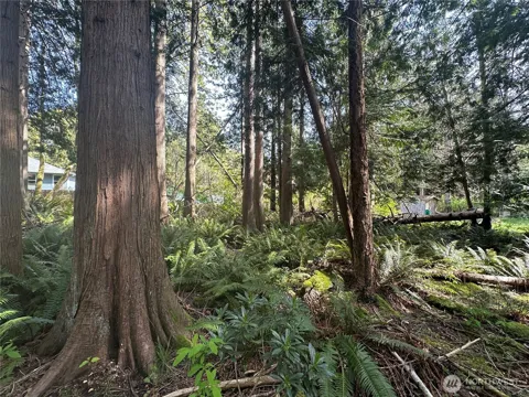 0 Lot 9 Tyee Drive