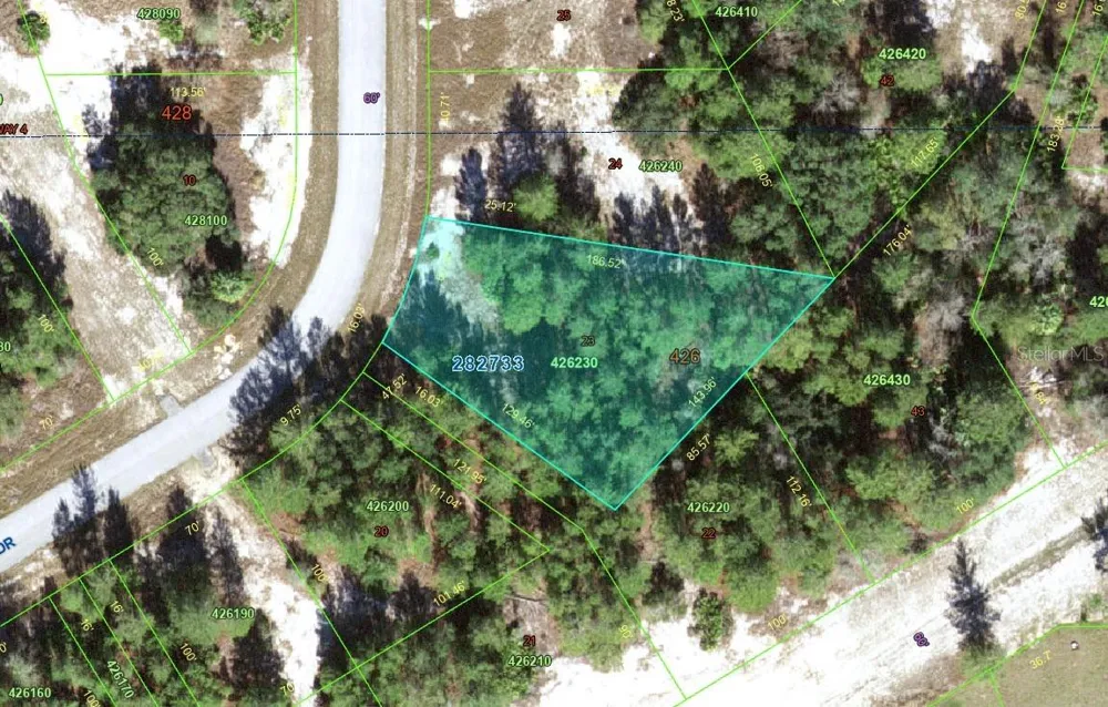 1318 HOMOSASSA DRIVE Kissimmee, FL 34759