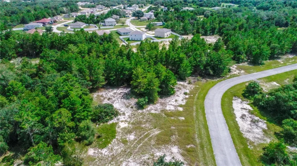 1318 HOMOSASSA DRIVE Kissimmee, FL 34759