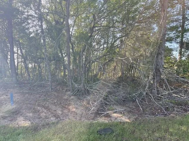 1318 HOMOSASSA DRIVE Kissimmee, FL 34759