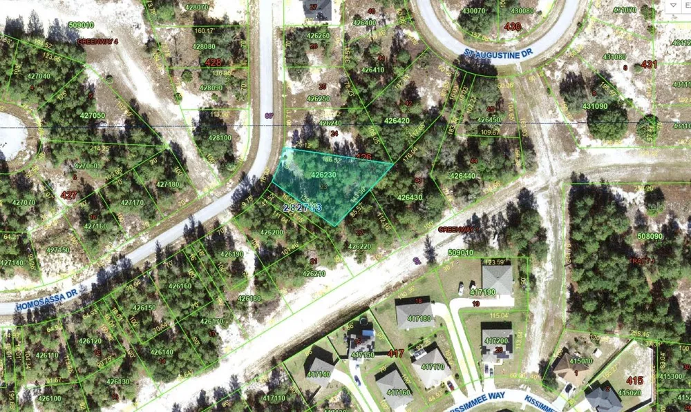 1318 HOMOSASSA DRIVE Kissimmee, FL 34759