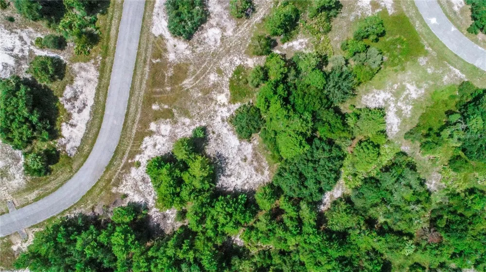 1318 HOMOSASSA DRIVE Kissimmee, FL 34759