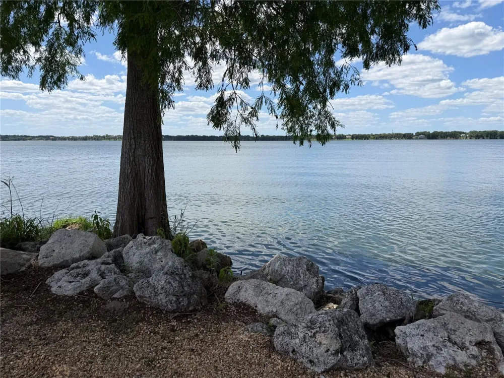 12322 STONELAKE RANCH BOULEVARD Thonotosassa, FL 33592
