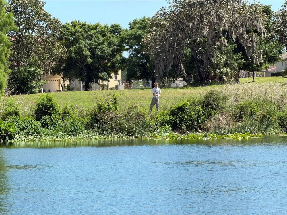 12322 STONELAKE RANCH BOULEVARD Thonotosassa, FL 33592