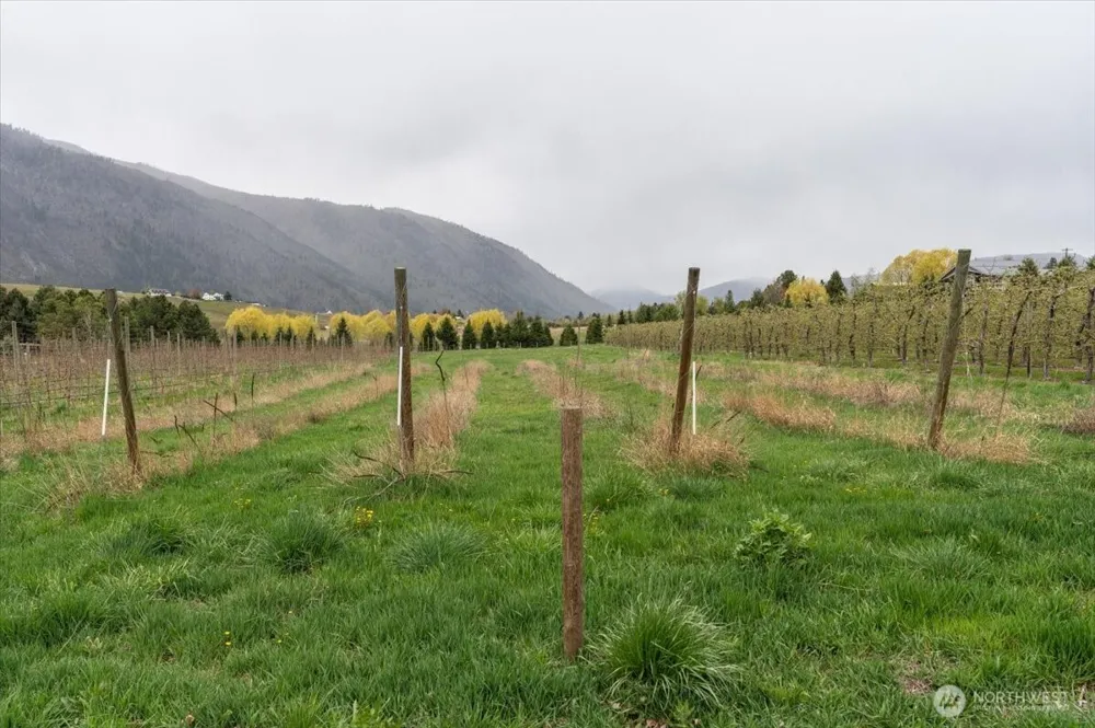 293 Barkley Road Manson, WA 98831