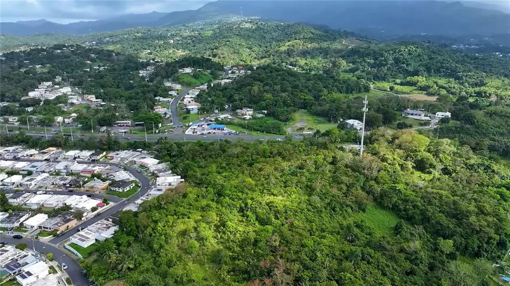 PR-3 KM 28.5 ZARZAL WARD Rio Grande, PR 00745
