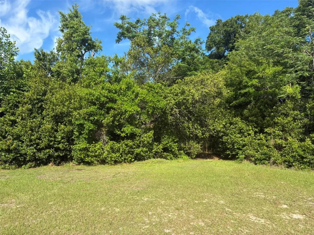 3752 ORANGE BLOSSOM TRAIL Mount Dora, FL 32757
