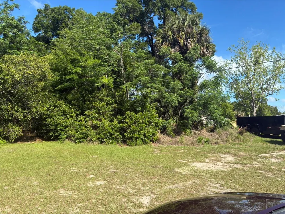 3752 ORANGE BLOSSOM TRAIL Mount Dora, FL 32757
