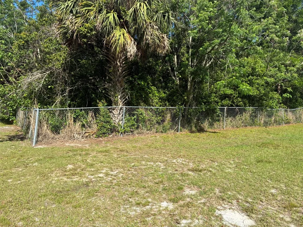 3752 ORANGE BLOSSOM TRAIL Mount Dora, FL 32757