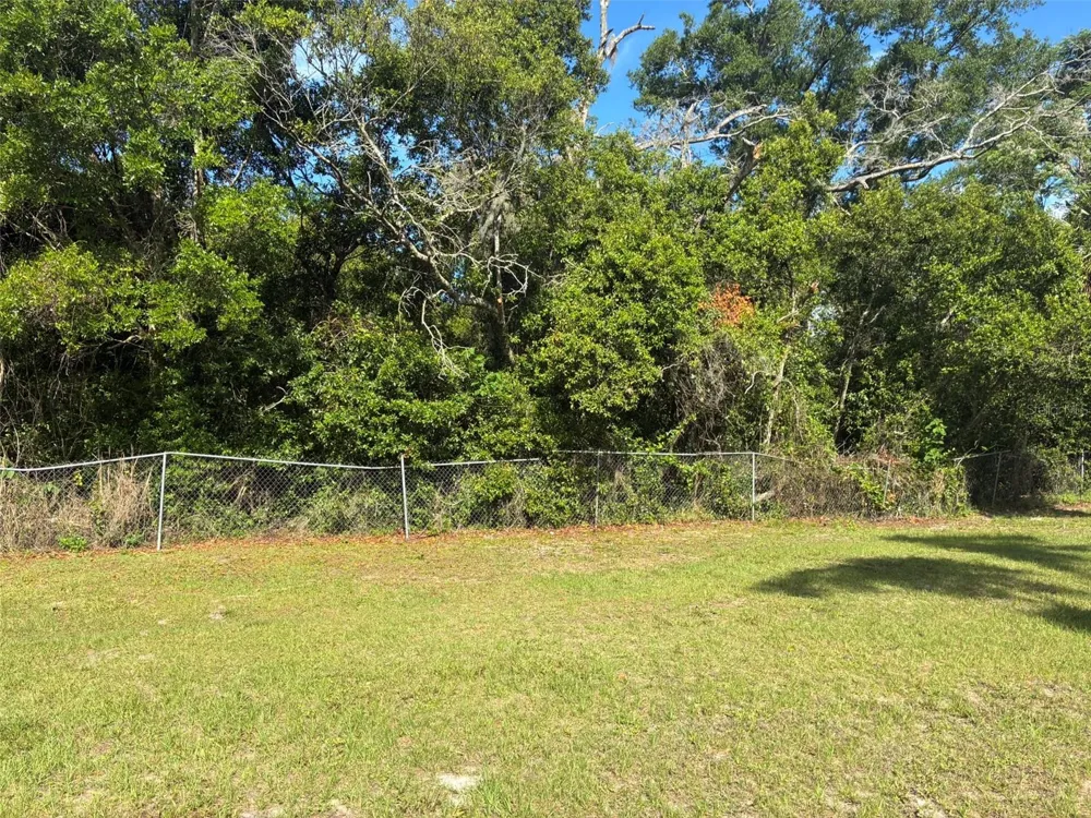 3752 ORANGE BLOSSOM TRAIL Mount Dora, FL 32757