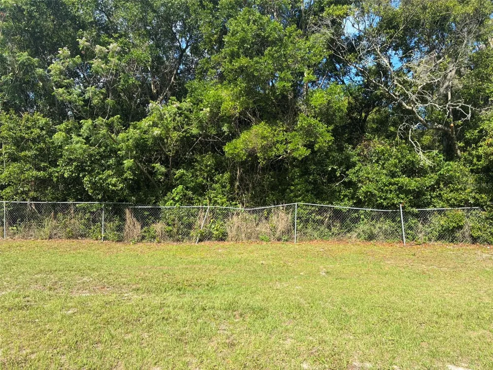 3752 ORANGE BLOSSOM TRAIL Mount Dora, FL 32757