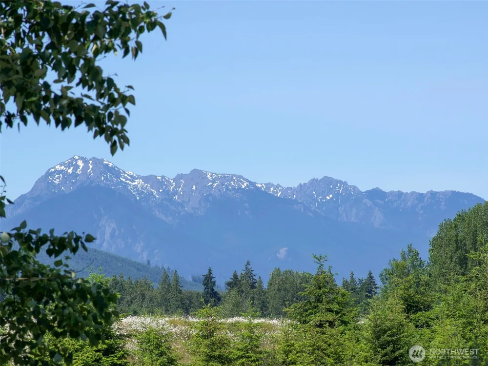 872 Still Road Sequim, WA 98382
