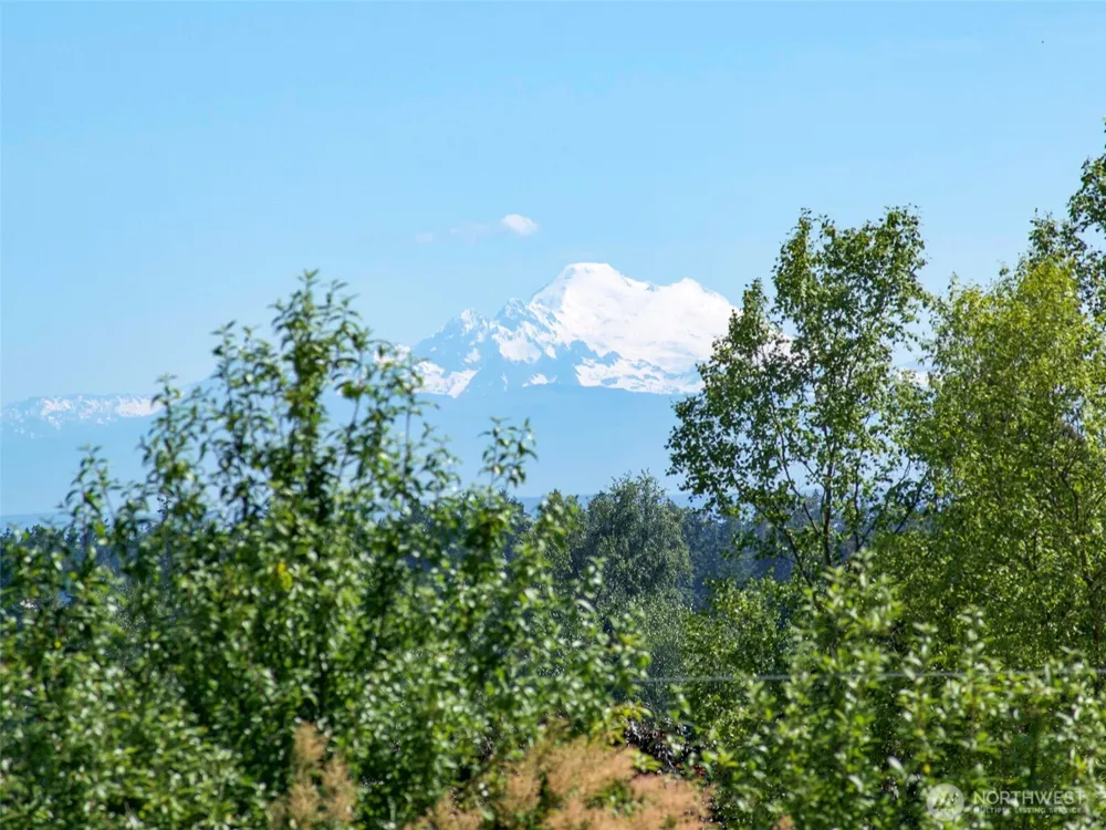 872 Still Road Sequim, WA 98382