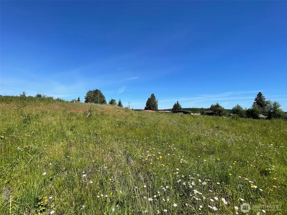 872 Still Road Sequim, WA 98382