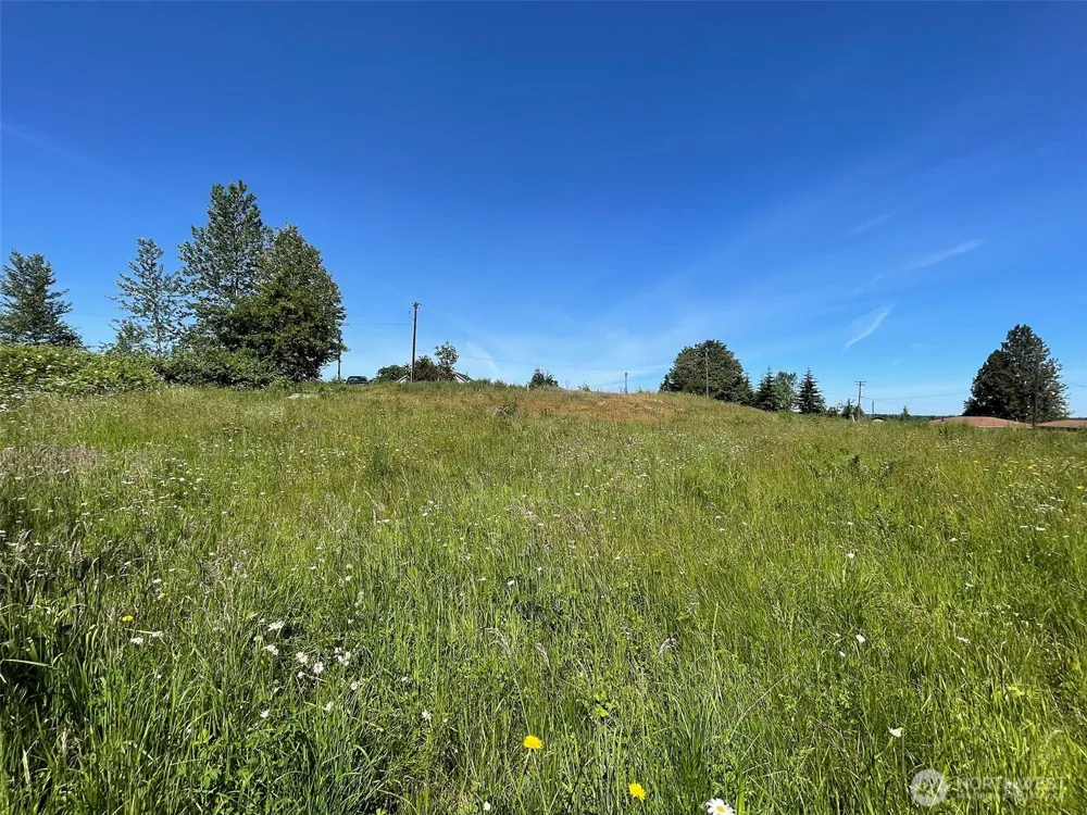 872 Still Road Sequim, WA 98382
