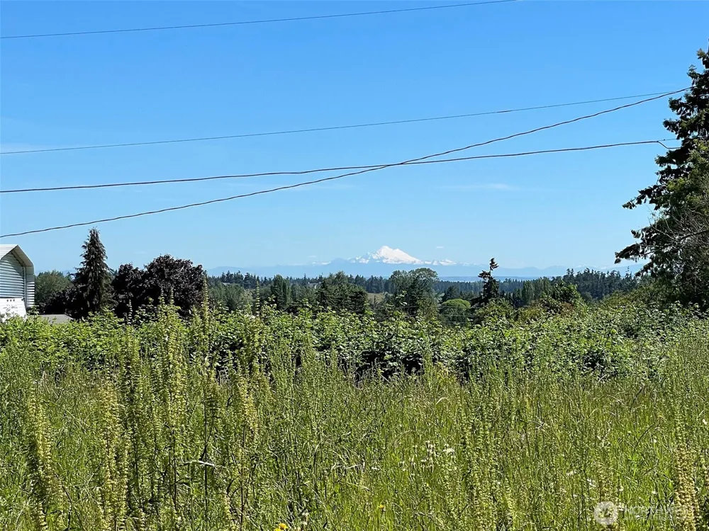 872 Still Road Sequim, WA 98382