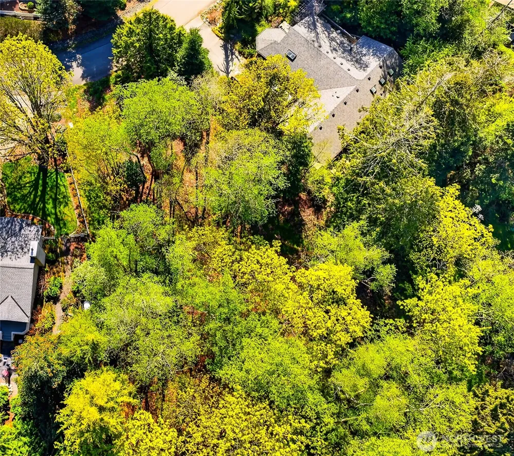 784 Lillooet La Conner, WA 98257