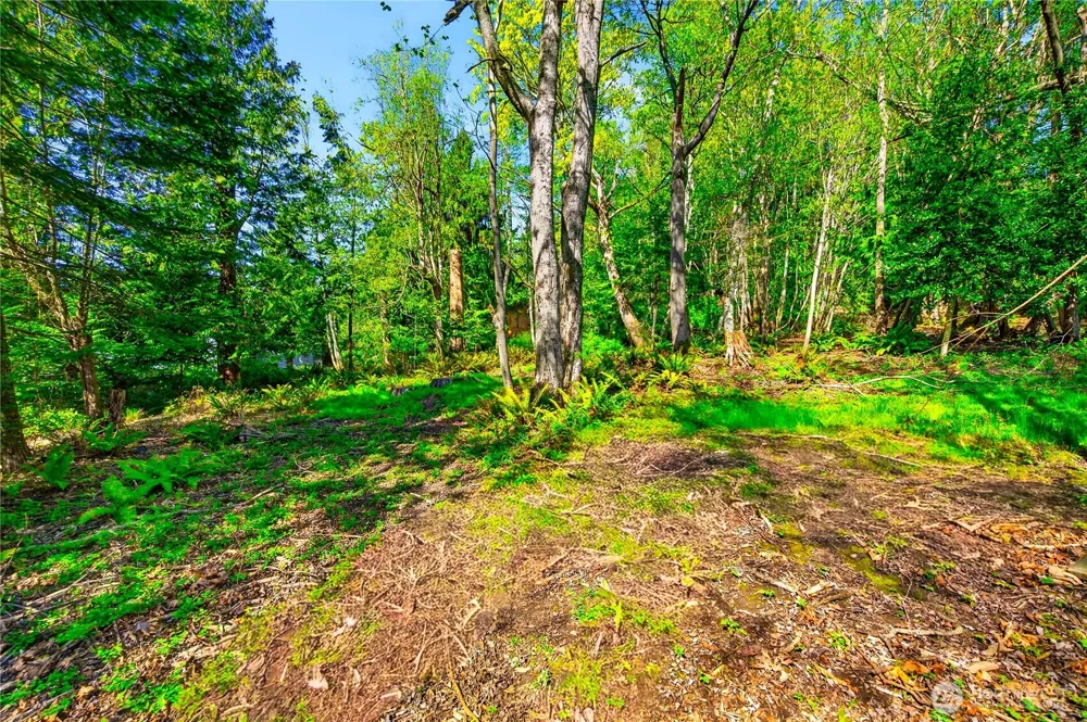 784 Lillooet La Conner, WA 98257