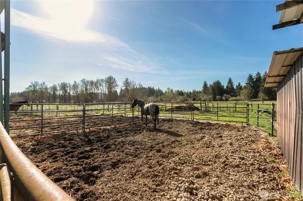295 Kangas Road Toledo, WA 98591
