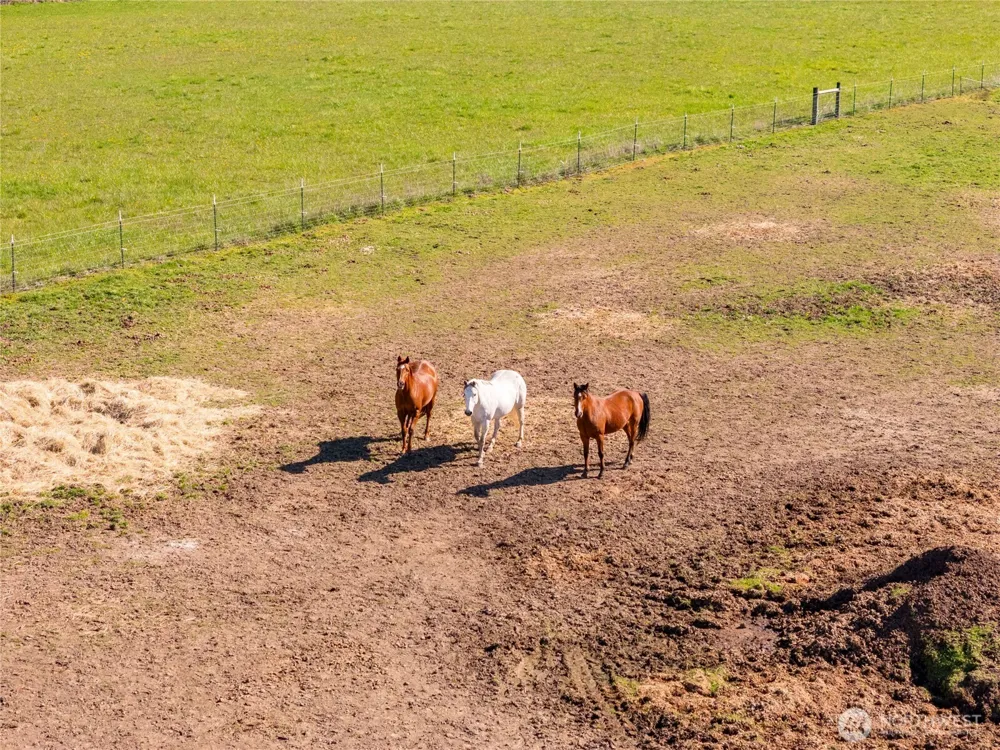 295 Kangas Road Toledo, WA 98591