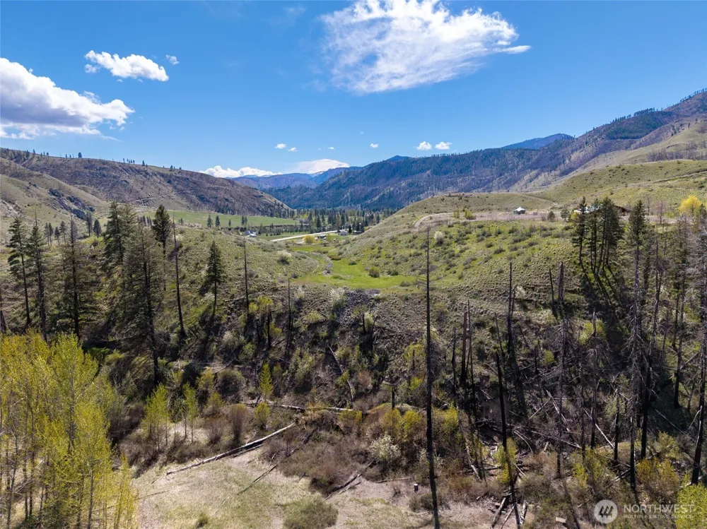 16 Dancing Bear Road Carlton, WA 98814