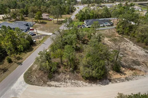 12140 MISSISSIPPI KITE AVENUE